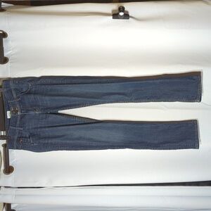 Hudson Collin Flap skinny size 27 dark wash